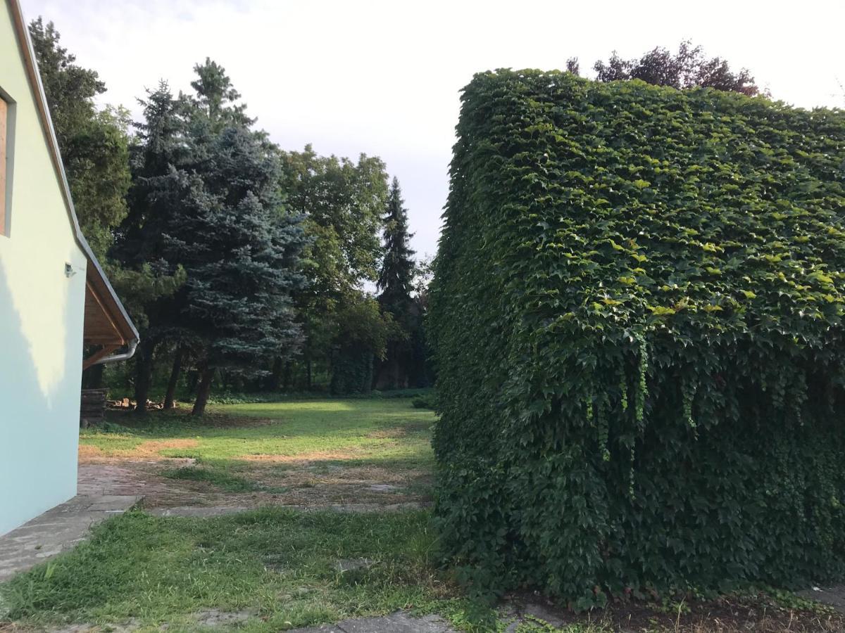 Pb Urban Garden Stay With Secured Parking Сремска-Митровица Экстерьер фото
